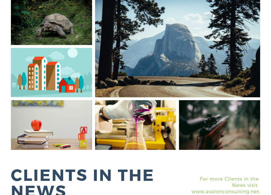Clients in the News–March 2019